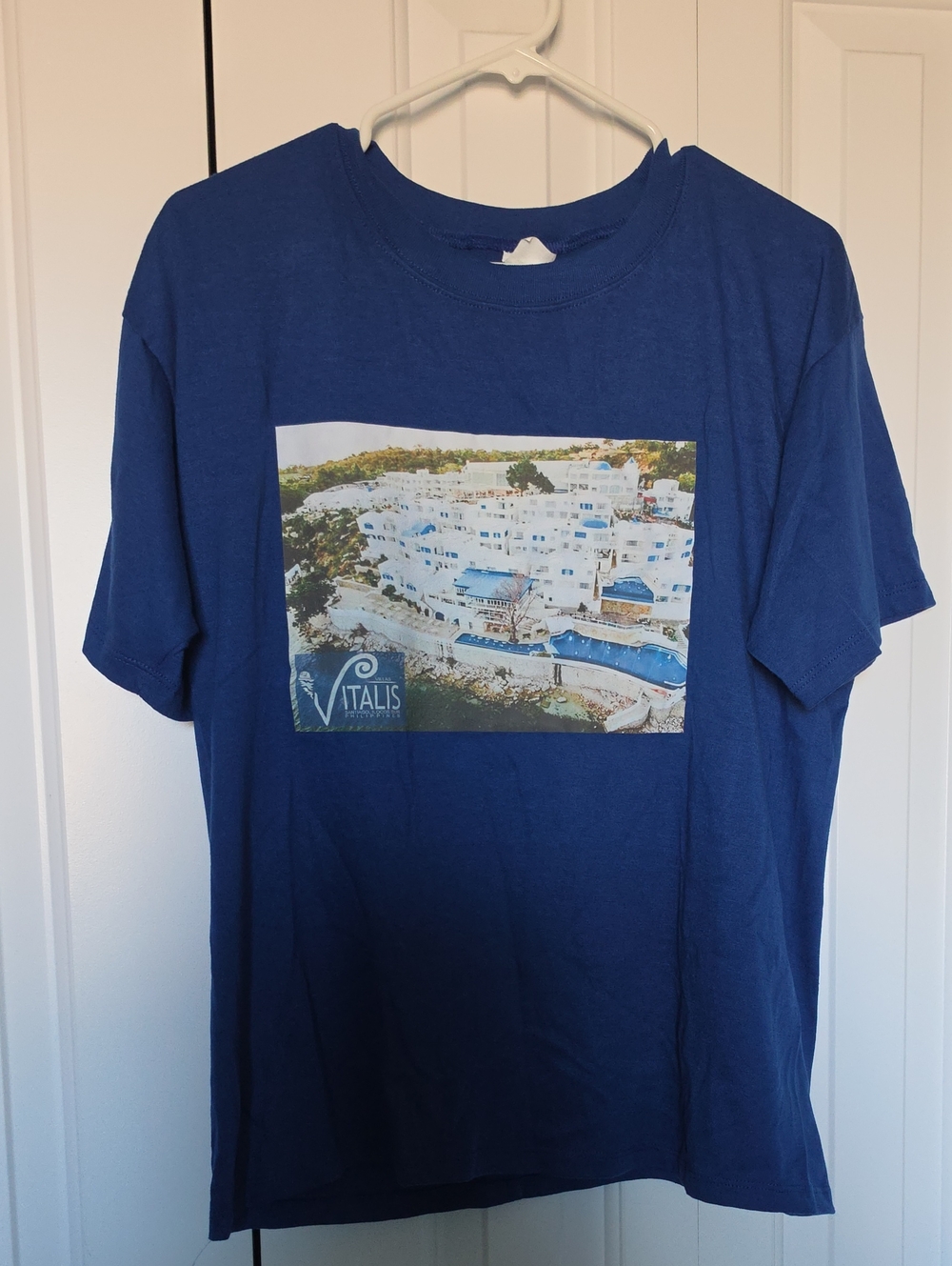Blue Graphic Men’s T-Shirt